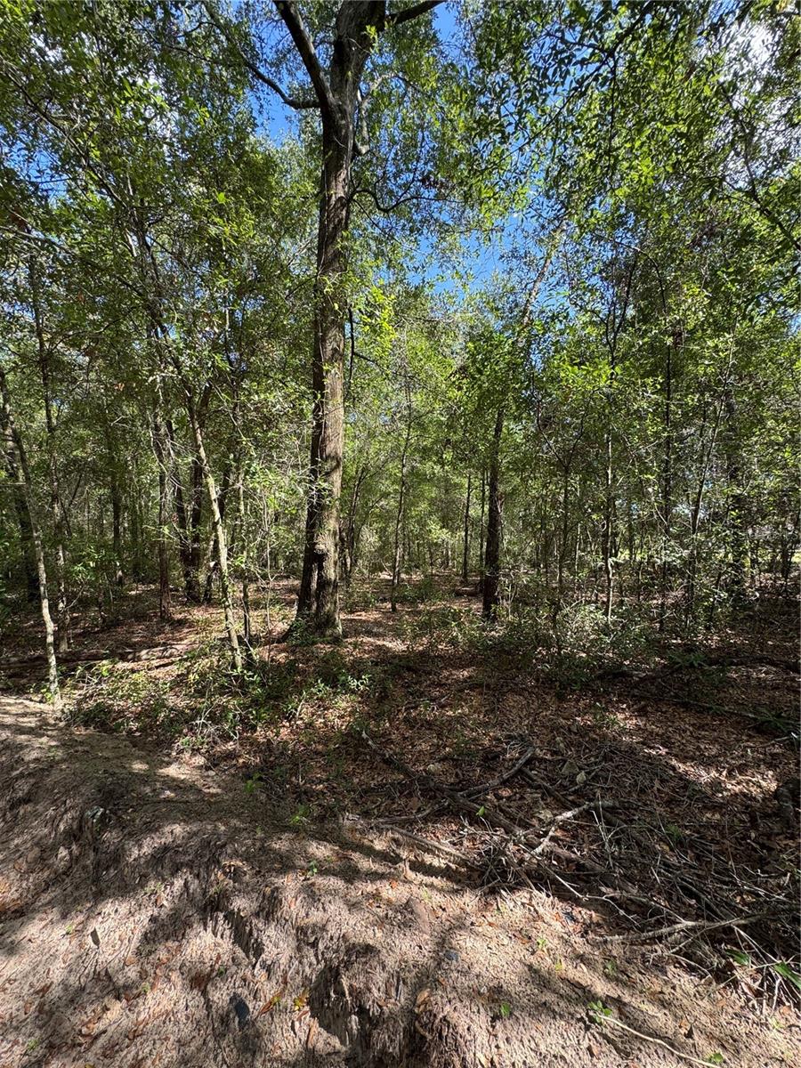 0 NW 14 ST, OCALA, FL