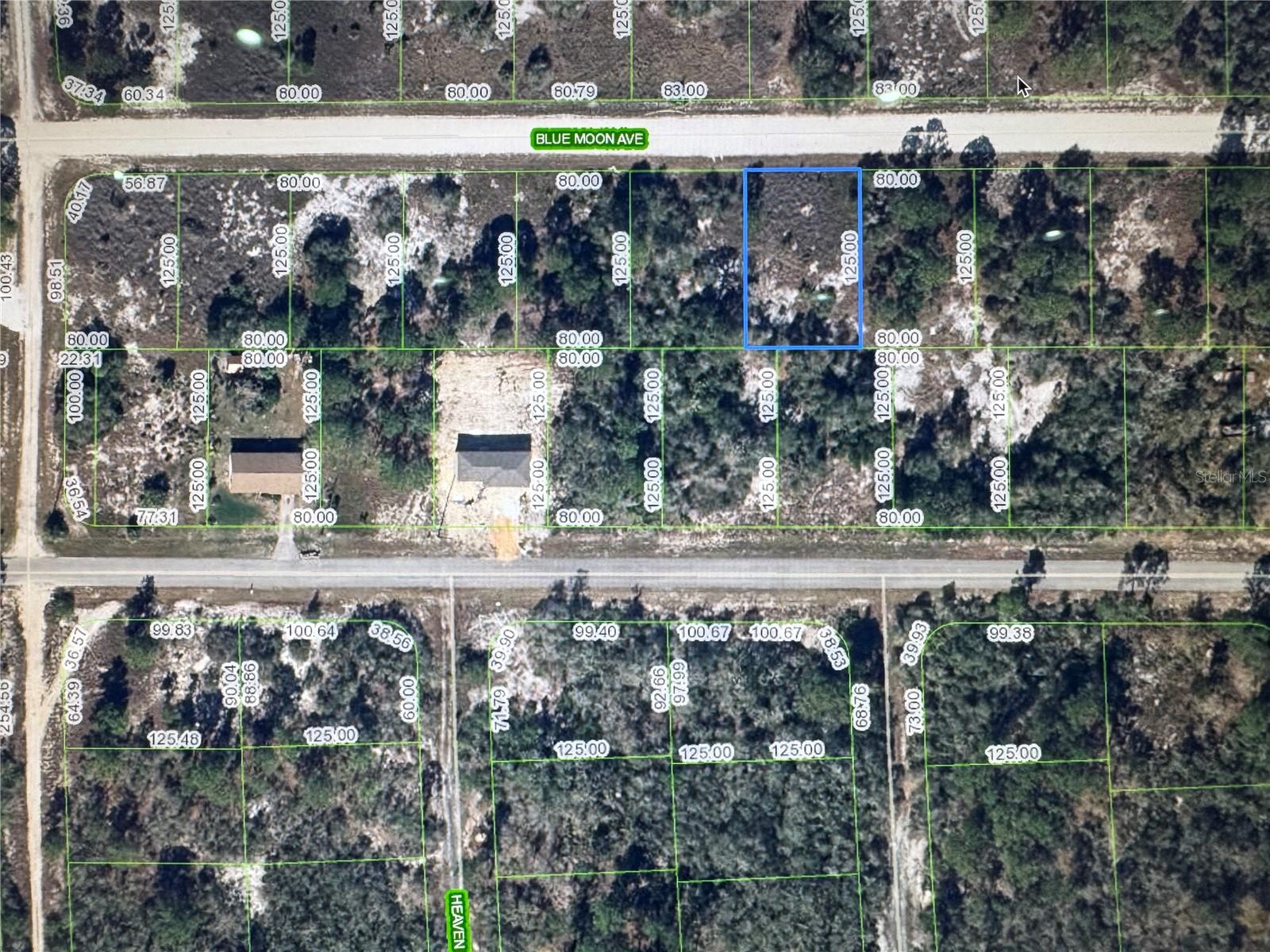 325 BLUE MOON AVE, LAKE PLACID, FL
