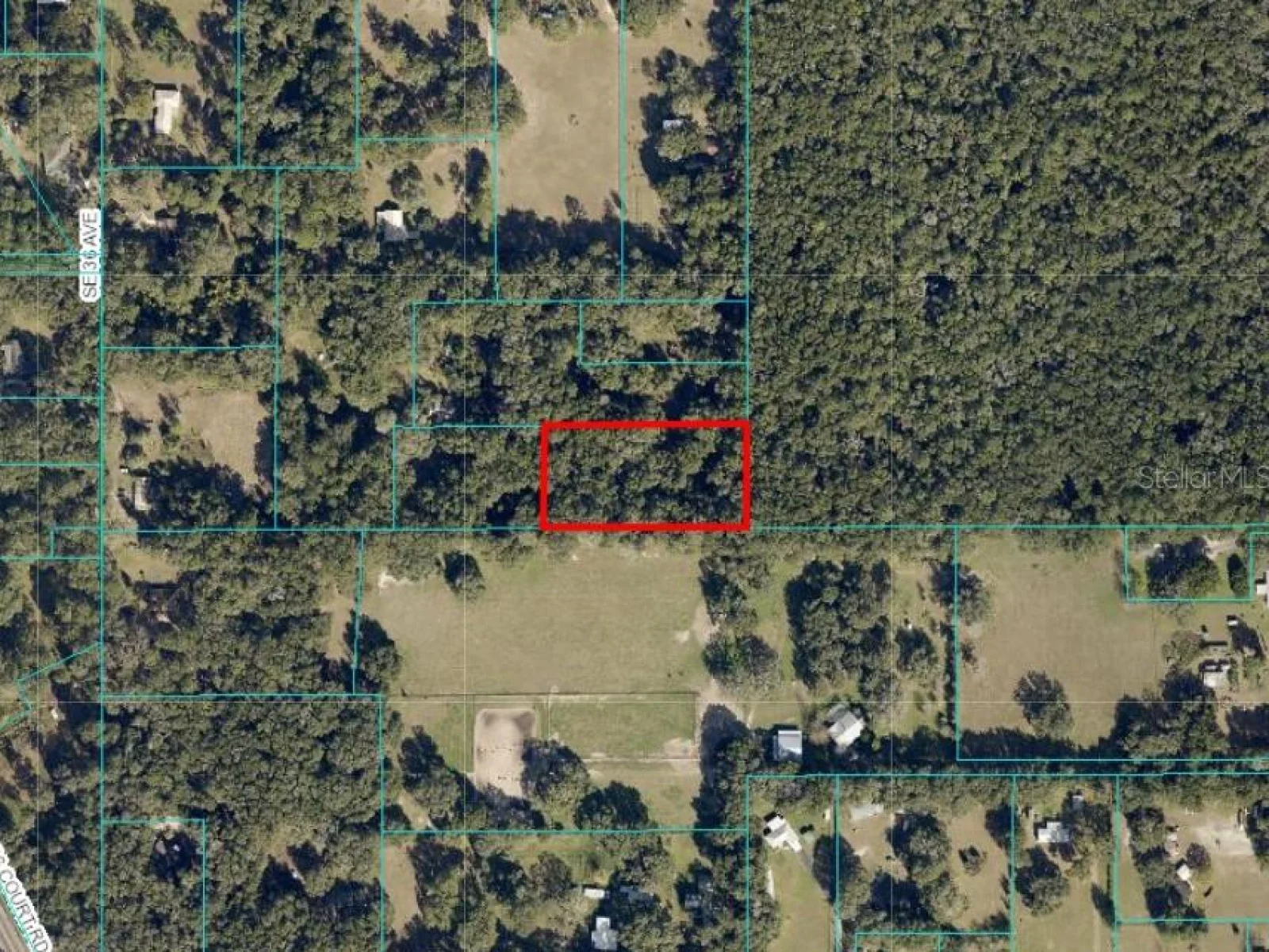 UNDETERMINED, OCALA, FL — photo 3
