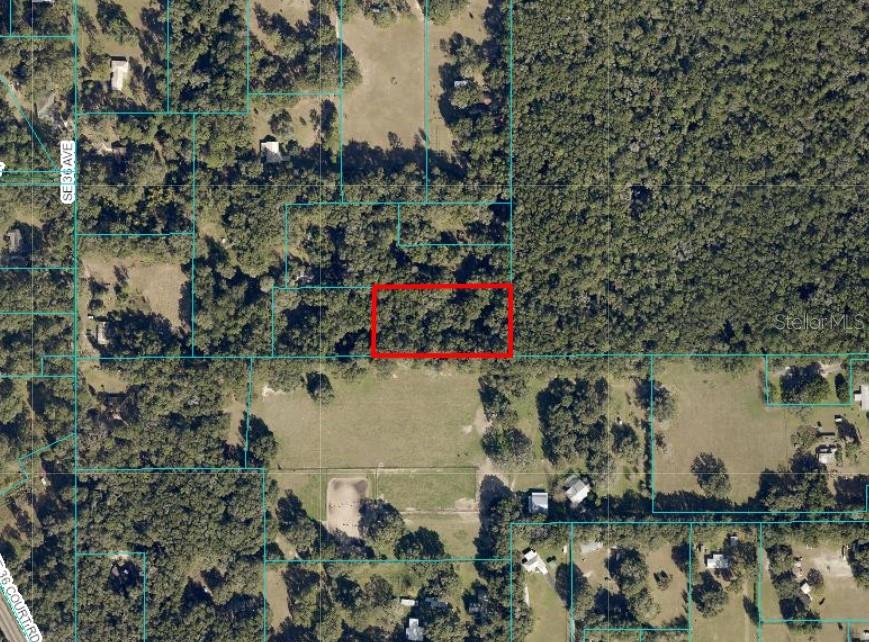 UNDETERMINED, OCALA, FL — photo 4
