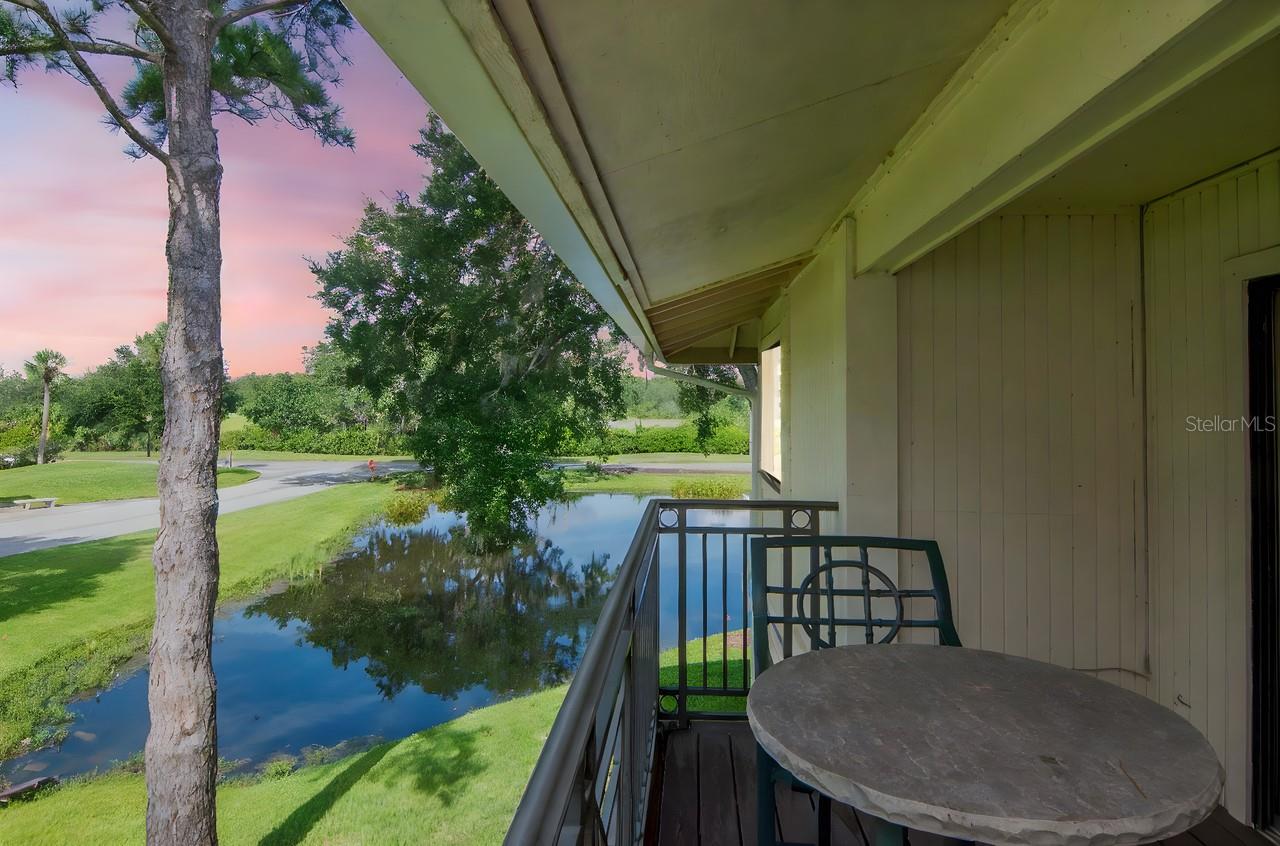 4947 MILL POND RD #3104/3106, WESLEY CHAPEL, FL — photo 19