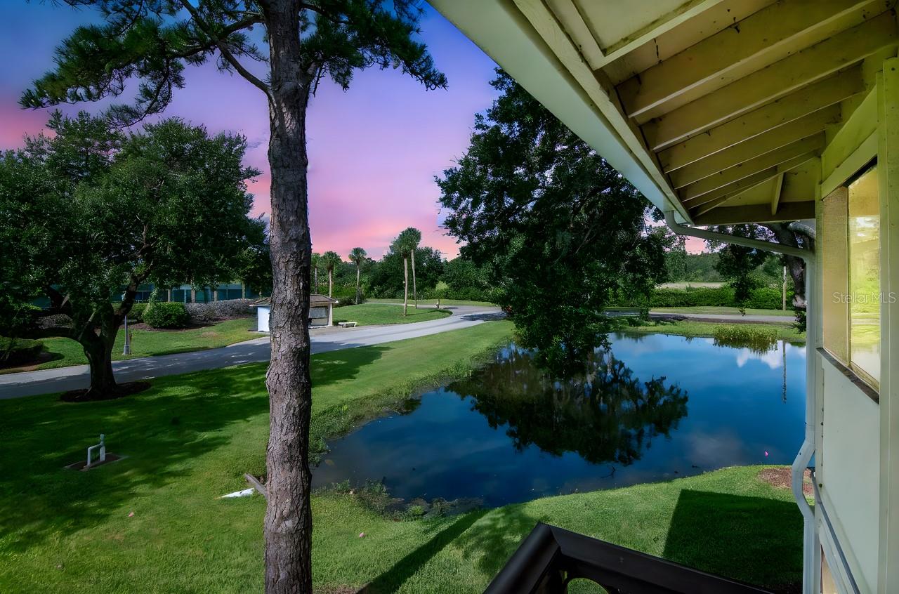 4947 MILL POND RD #3104/3106, WESLEY CHAPEL, FL — photo 30
