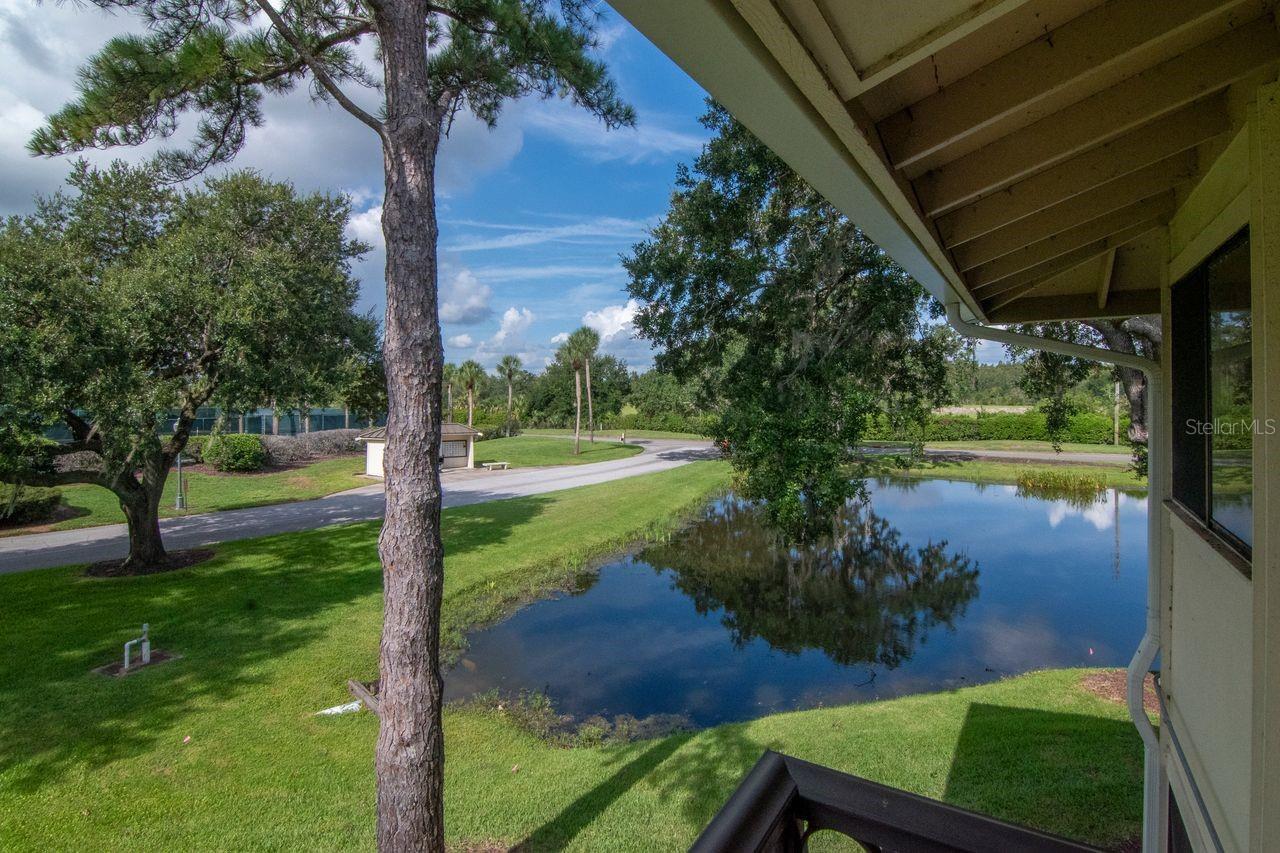 4947 MILL POND RD #3104/3106, WESLEY CHAPEL, FL — photo 17