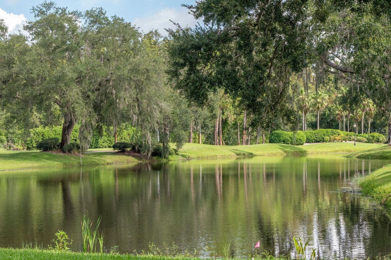 4947 MILL POND RD #3104/3106, WESLEY CHAPEL, FL — photo 24