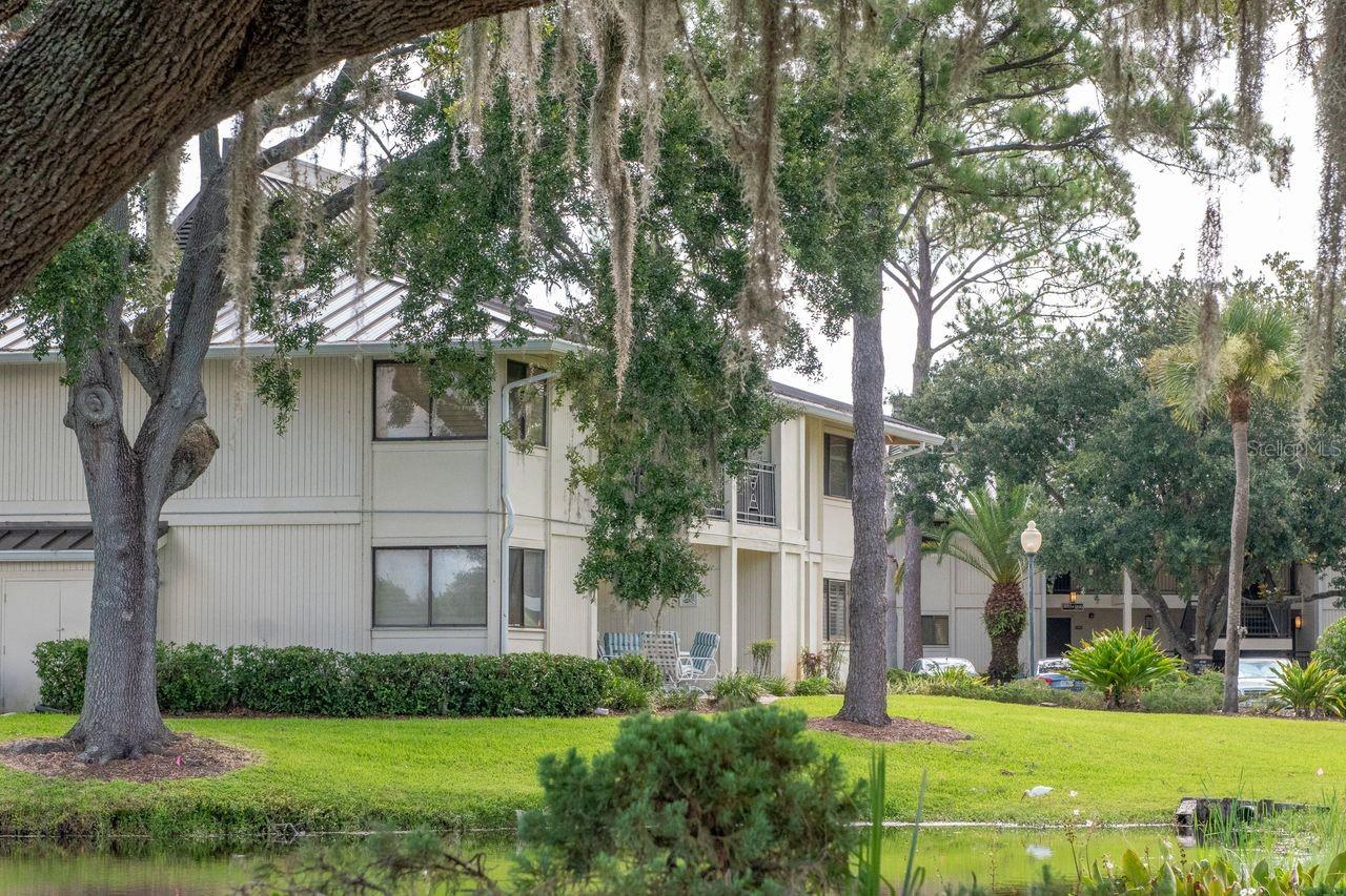 4947 MILL POND RD #3104/3106, WESLEY CHAPEL, FL — photo 21