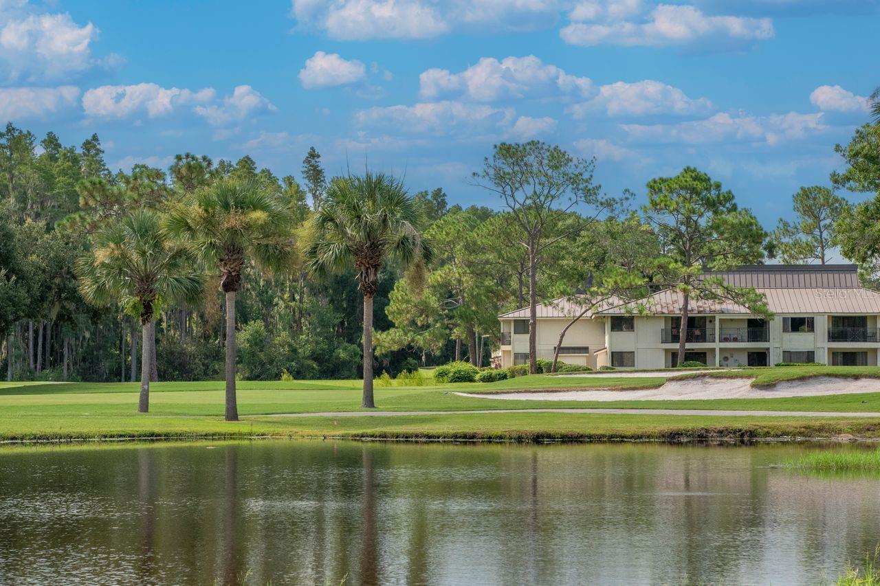 4947 MILL POND RD #3104/3106, WESLEY CHAPEL, FL — photo 26