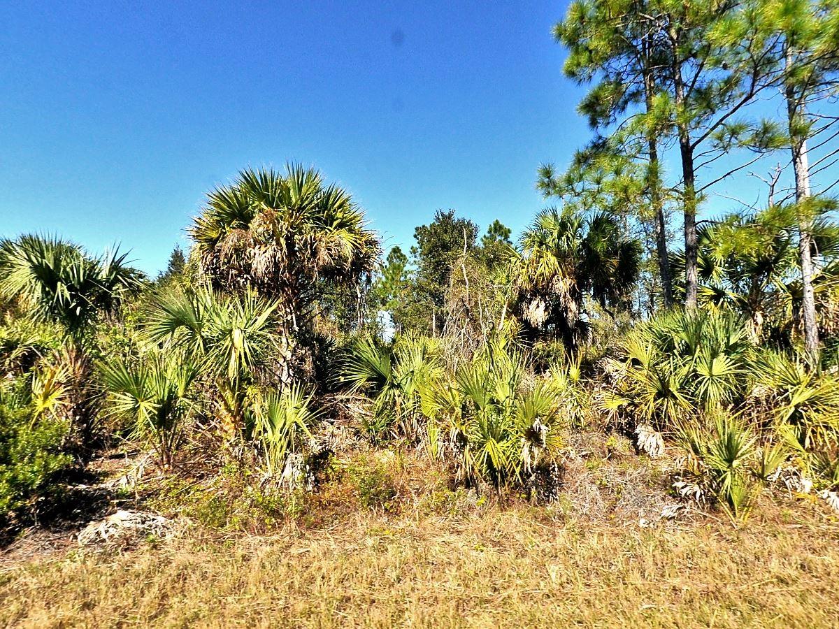 FIVELEAF RD, NORTH PORT, FL