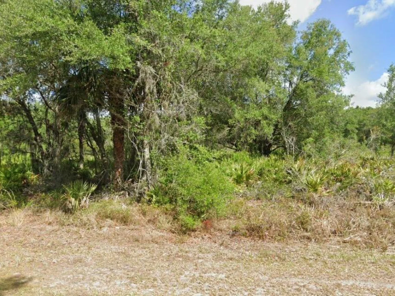 1553 FRISCO TER, PORT CHARLOTTE, FL — photo 7