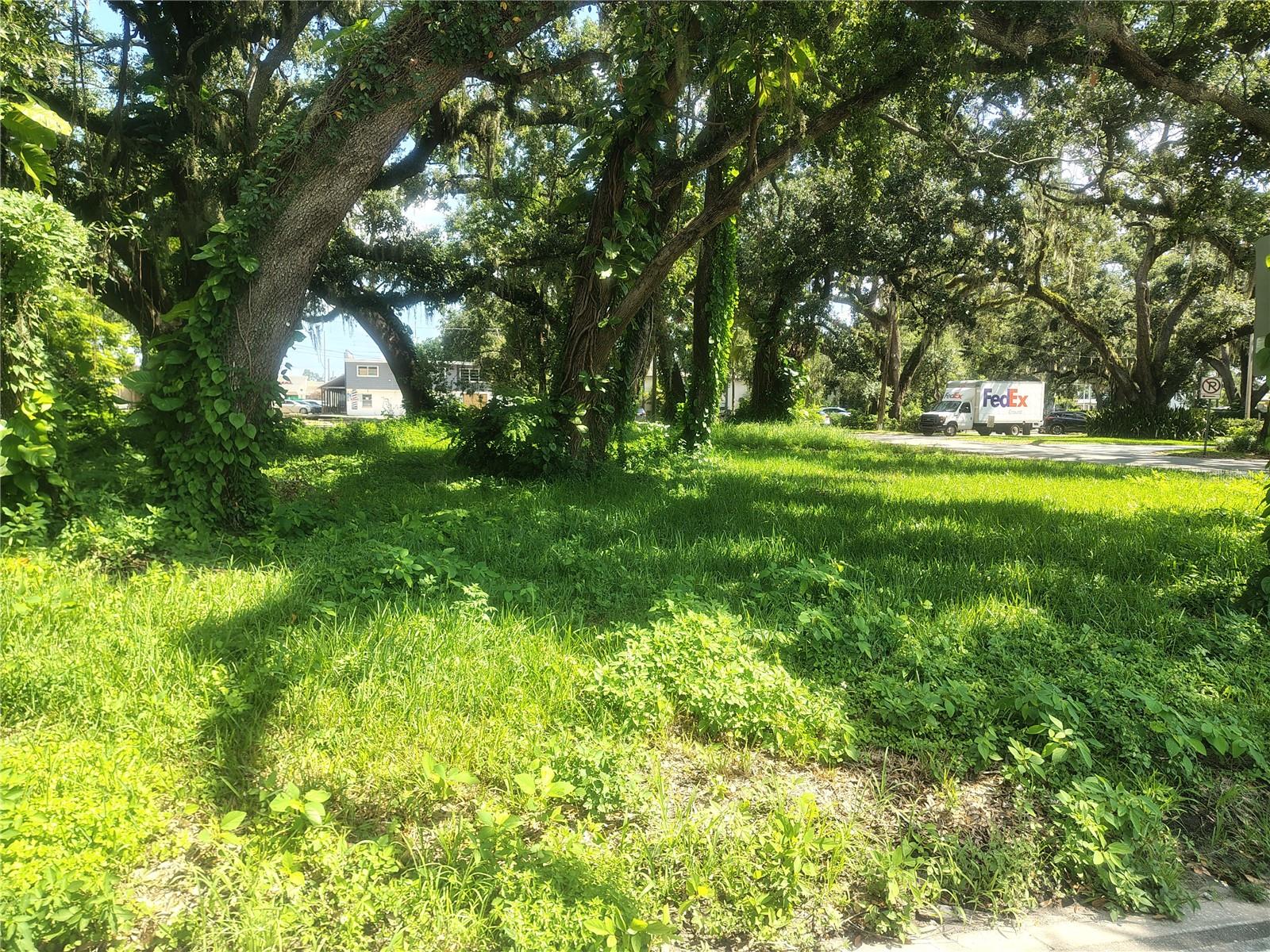 113 E ROBERTSON ST, BRANDON, FL — photo 13