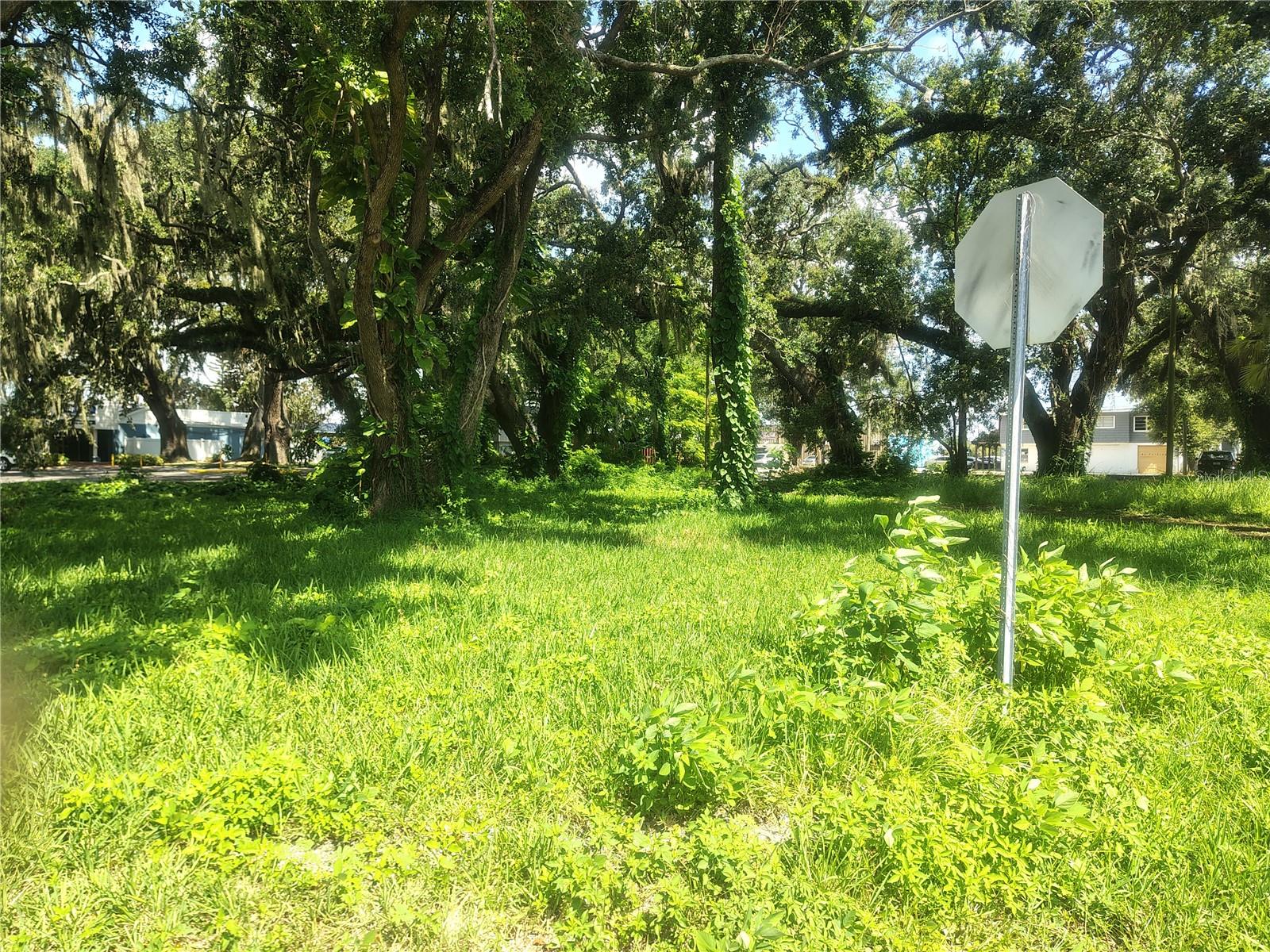 113 E ROBERTSON ST, BRANDON, FL — photo 15
