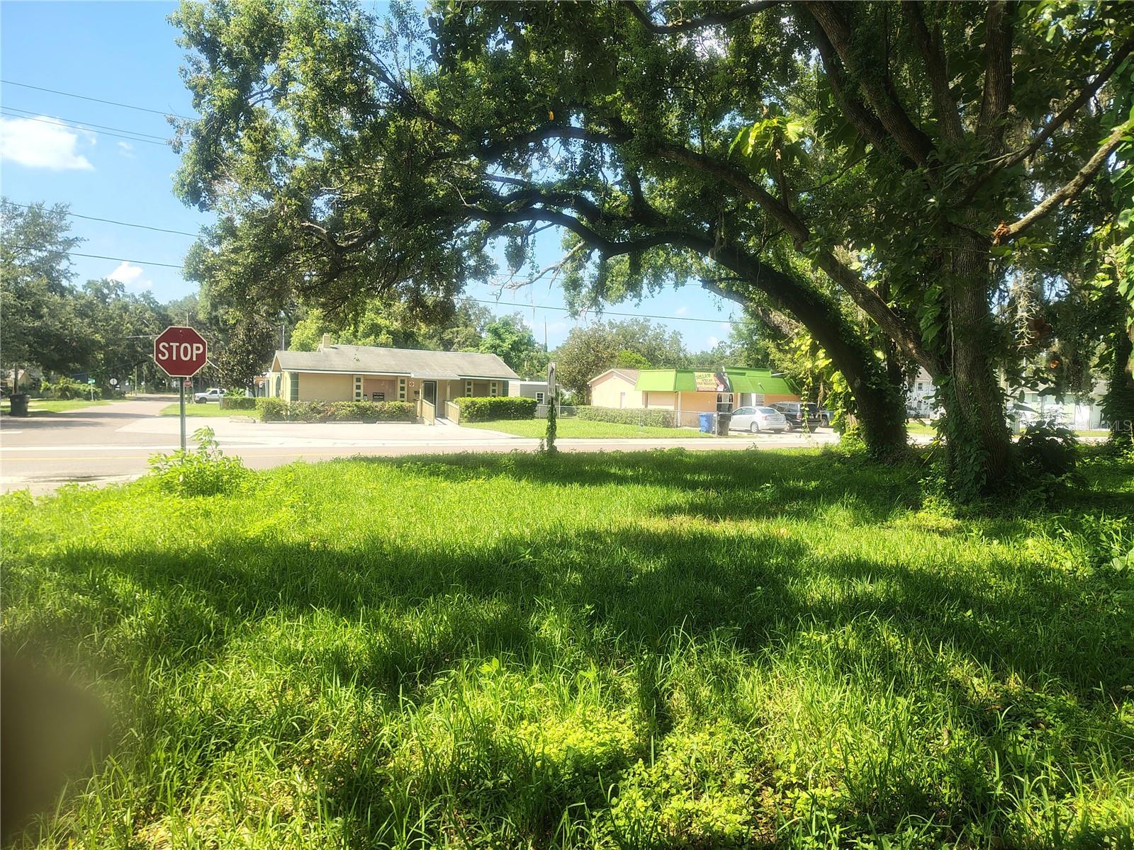 113 E ROBERTSON ST, BRANDON, FL — photo 17