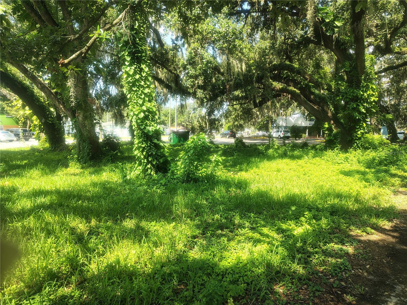 113 E ROBERTSON ST, BRANDON, FL — photo 19