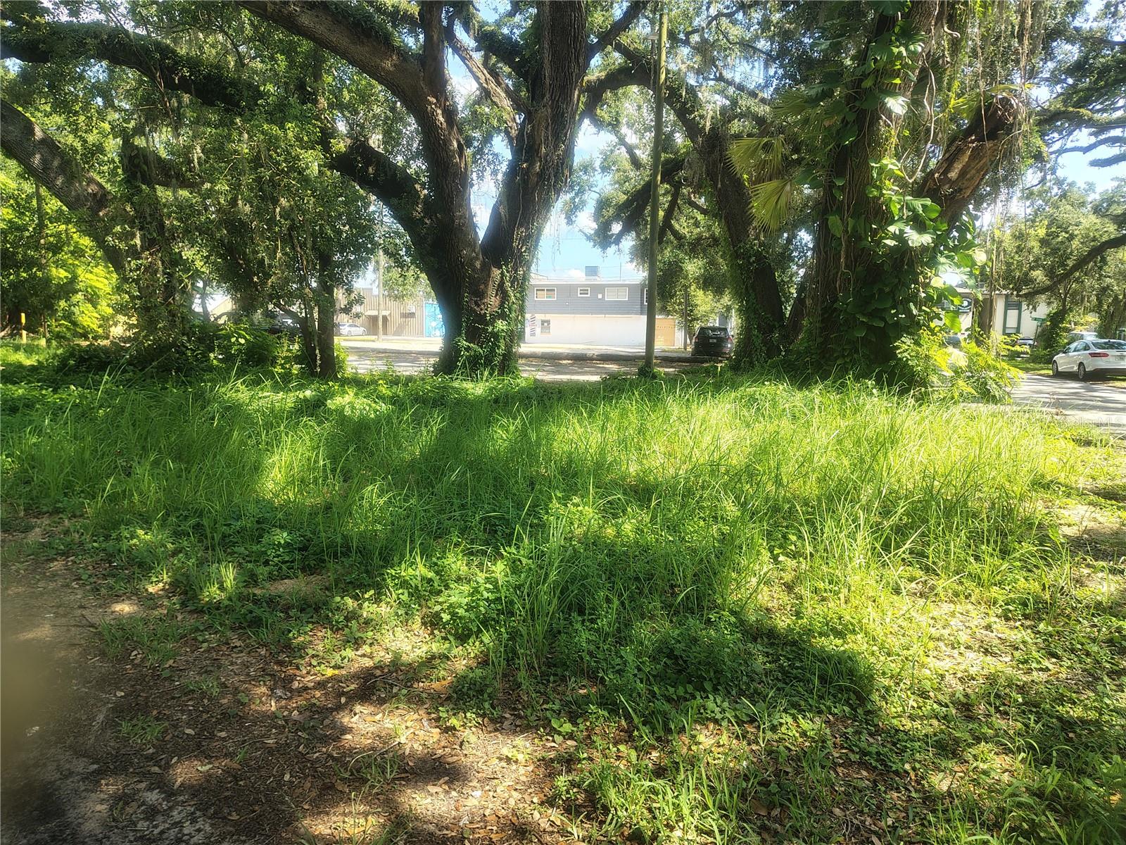 113 E ROBERTSON ST, BRANDON, FL — photo 21