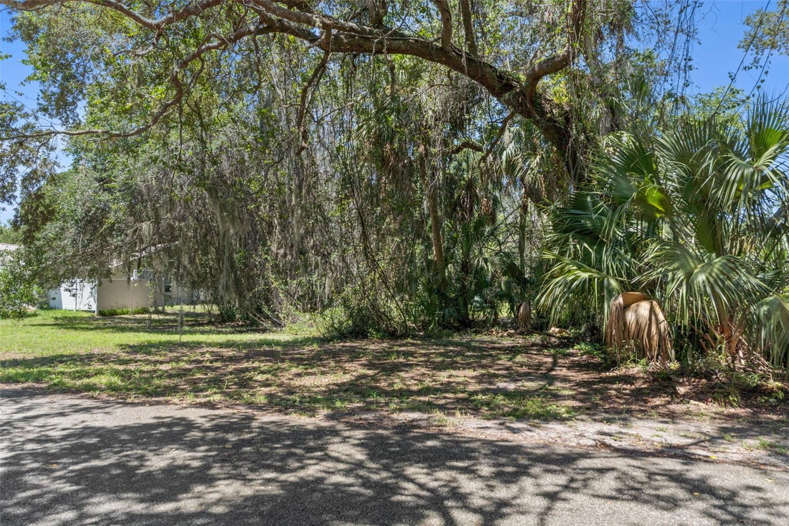 4788 S WOOD WAY, HOMOSASSA, FL — photo 4
