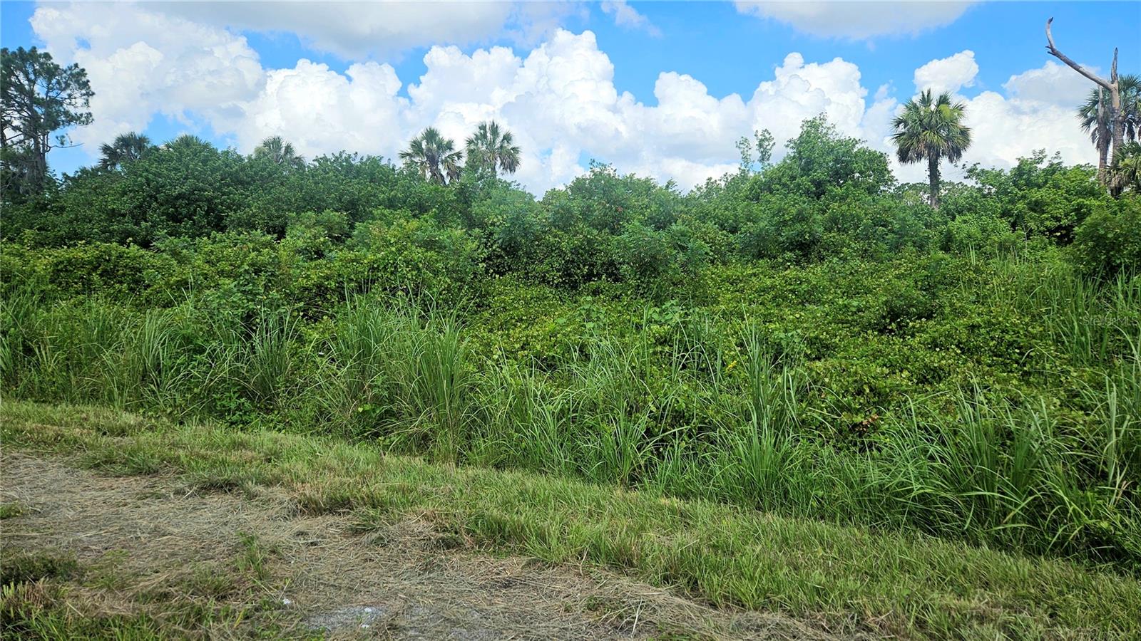 CUSTER LOT #25 CIR, NORTH PORT, FL — photo 3