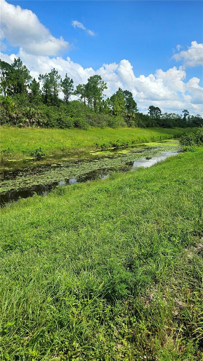 CUSTER LOT #25 CIR, NORTH PORT, FL — photo 5