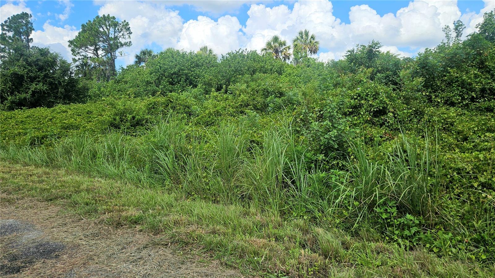 CUSTER LOT #25 CIR, NORTH PORT, FL — photo 9
