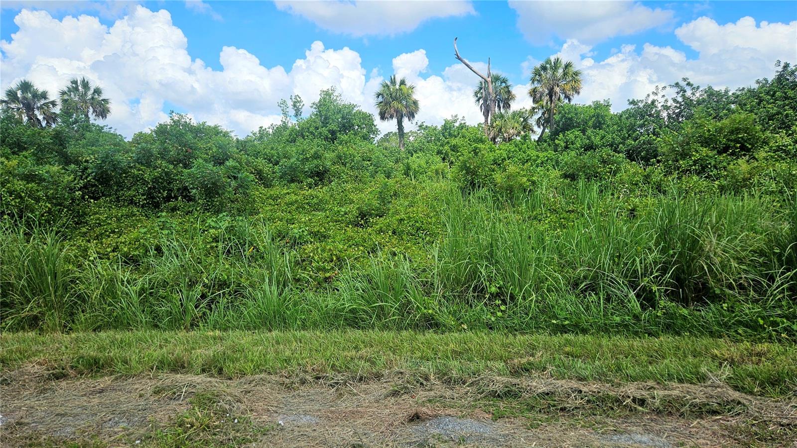 CUSTER LOT #25 CIR, NORTH PORT, FL — photo 11