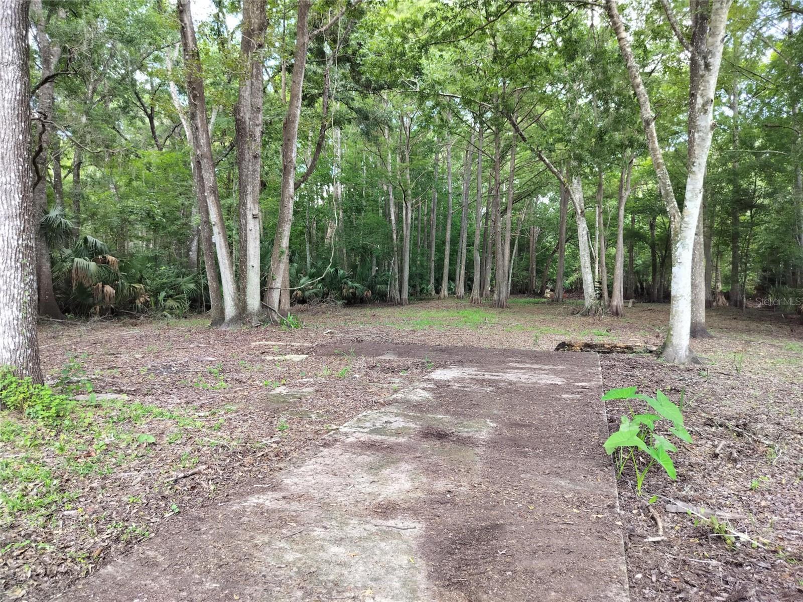 523 S TUCK PT, INVERNESS, FL — photo 16