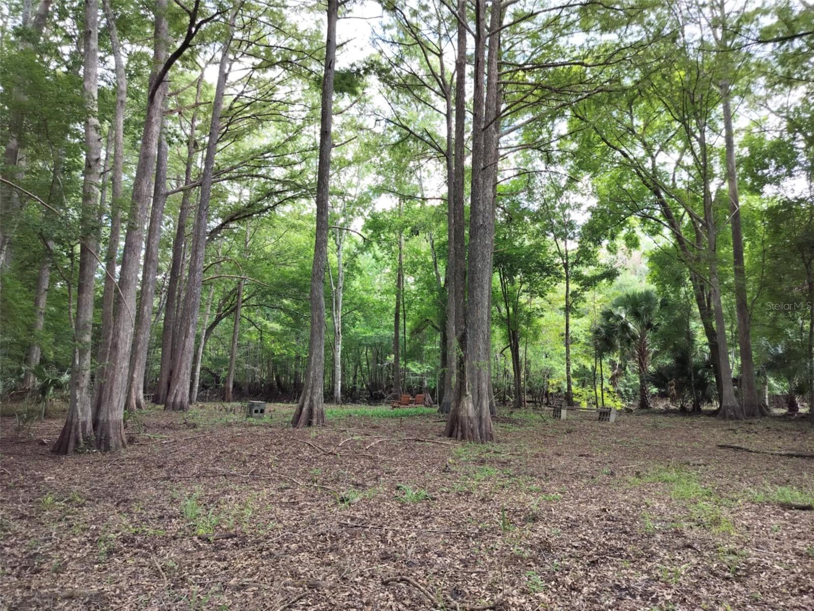 523 S TUCK PT, INVERNESS, FL — photo 4