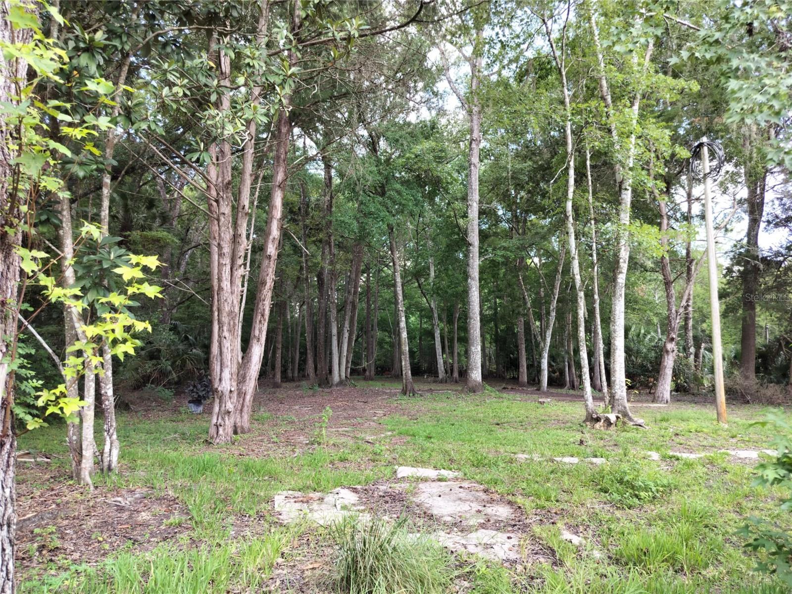 523 S TUCK PT, INVERNESS, FL — photo 8