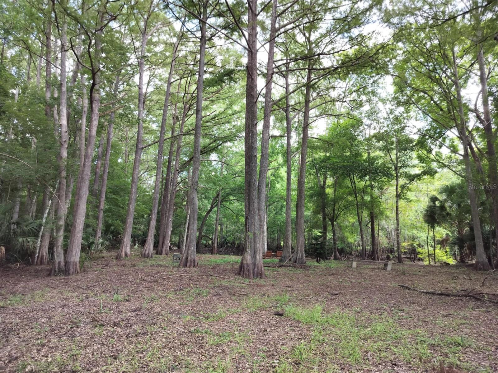 523 S TUCK PT, INVERNESS, FL — photo 13