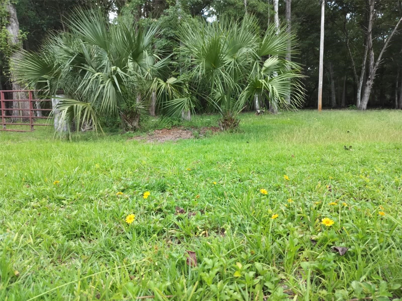 523 S TUCK PT, INVERNESS, FL — photo 18