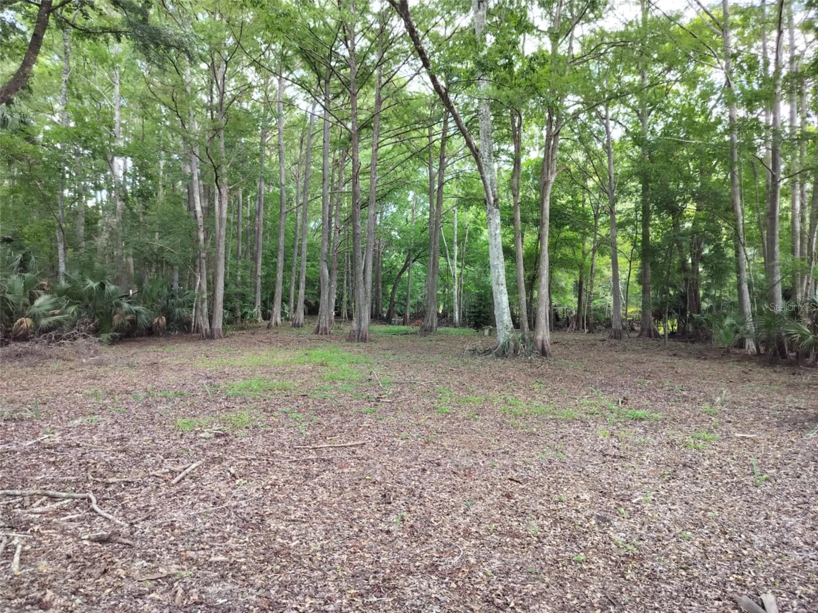 523 S TUCK PT, INVERNESS, FL — photo 20
