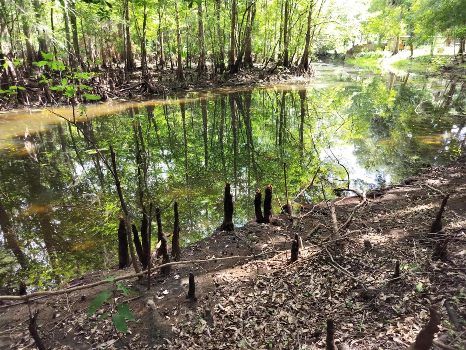 523 S TUCK PT, INVERNESS, FL — photo 21
