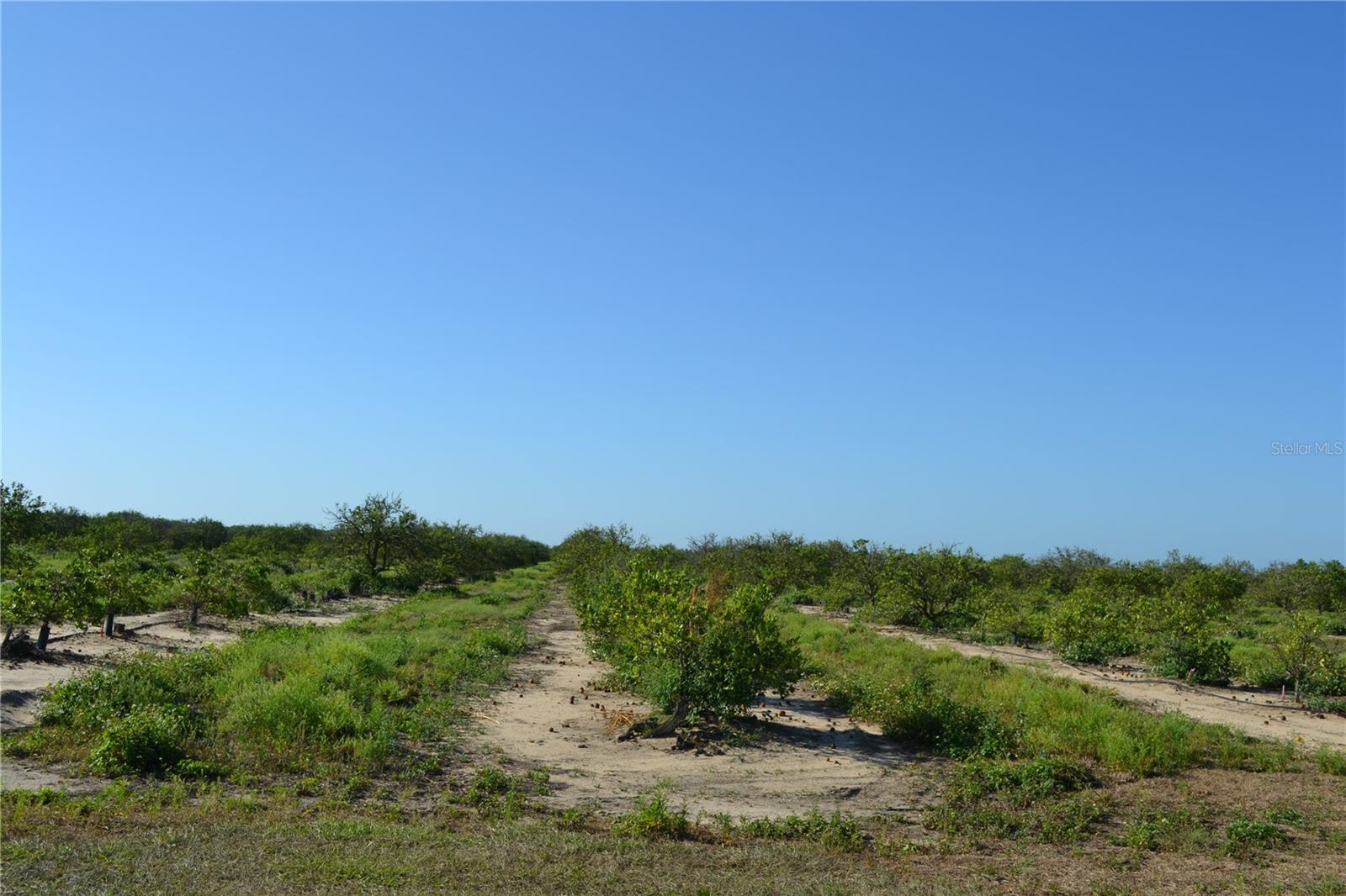 GARFIELD NURSERY RD, BABSON PARK, FL — photo 2