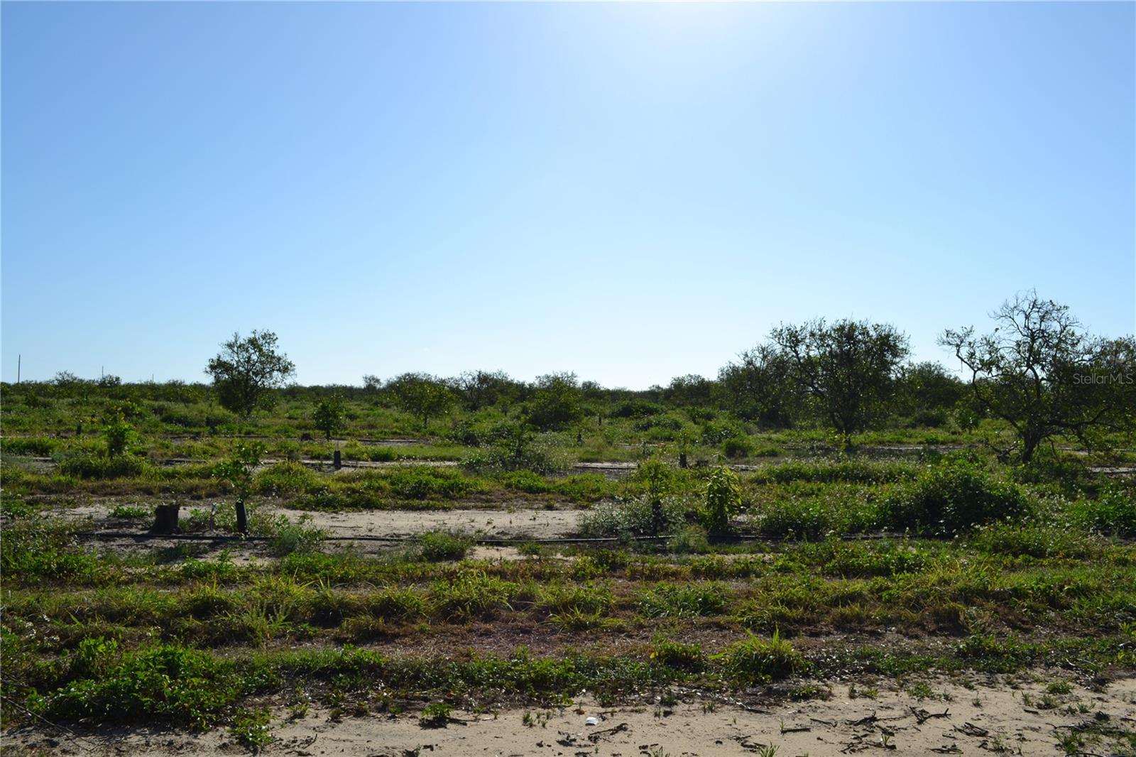 GARFIELD NURSERY RD, BABSON PARK, FL — photo 3