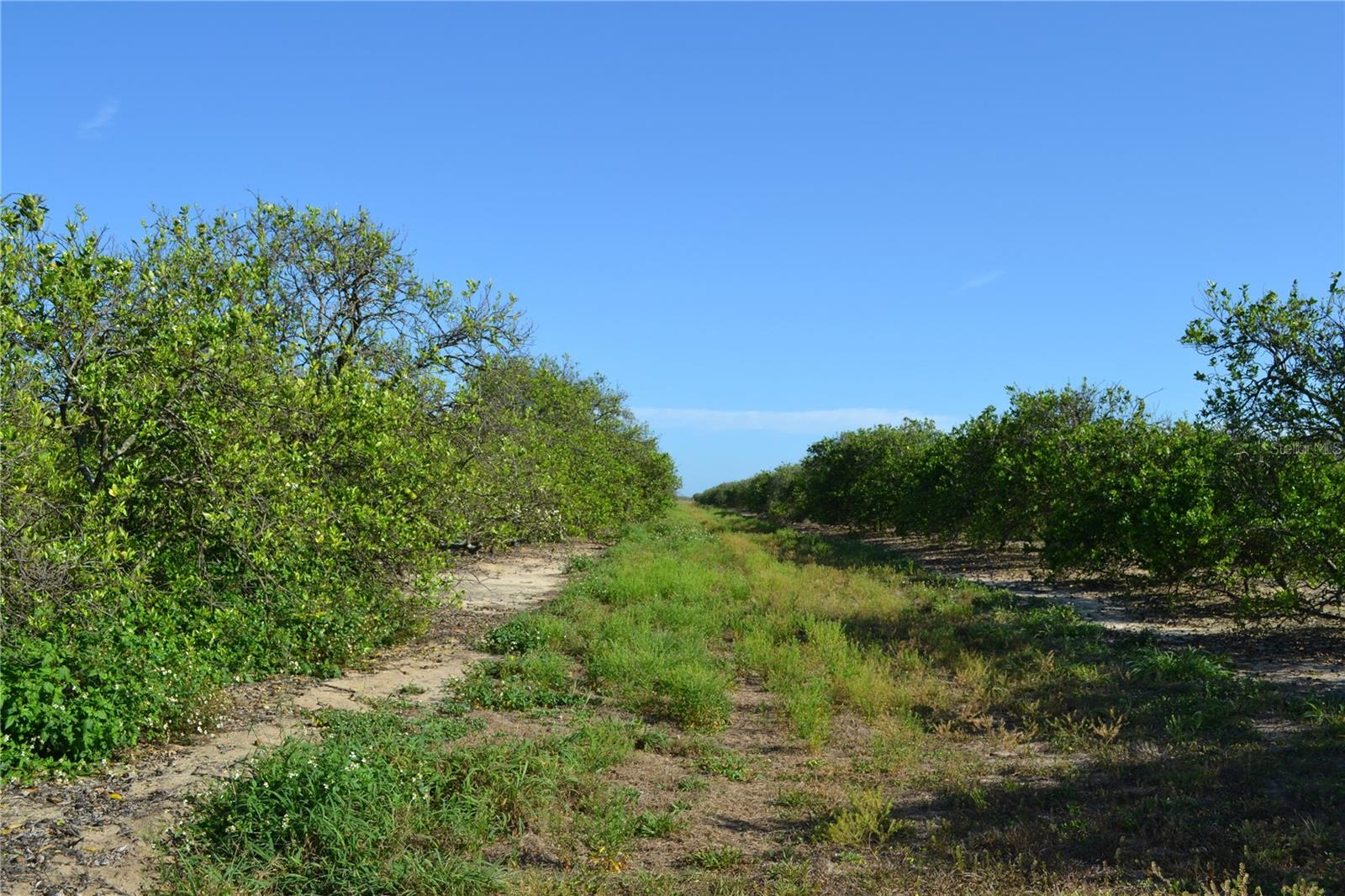 GARFIELD NURSERY RD, BABSON PARK, FL — photo 4