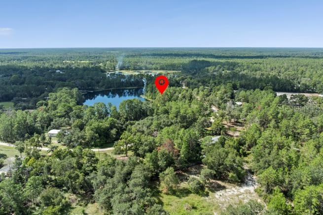 PINE VALLEY DR, PAISLEY, FL — photo 3
