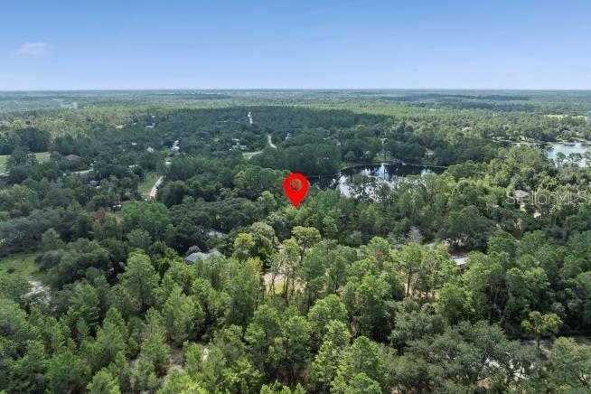 PINE VALLEY DR, PAISLEY, FL — photo 5