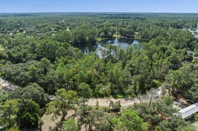 PINE VALLEY DR, PAISLEY, FL — photo 7