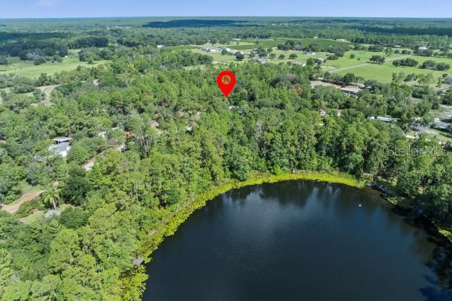 PINE VALLEY DR, PAISLEY, FL — photo 9