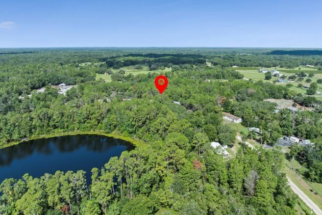 PINE VALLEY DR, PAISLEY, FL — photo 11