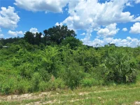 TBD SE HWY. 19 — photo 3