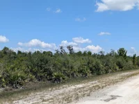 SARASOTA DR — photo 2