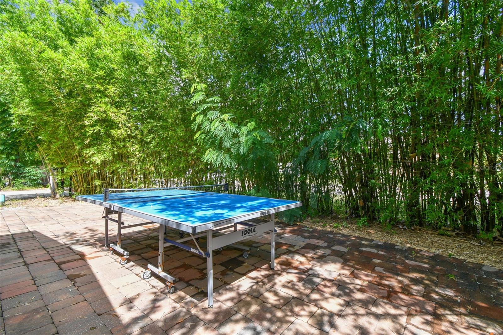 5909 MOHR RD, TAMPA, FL — photo 24