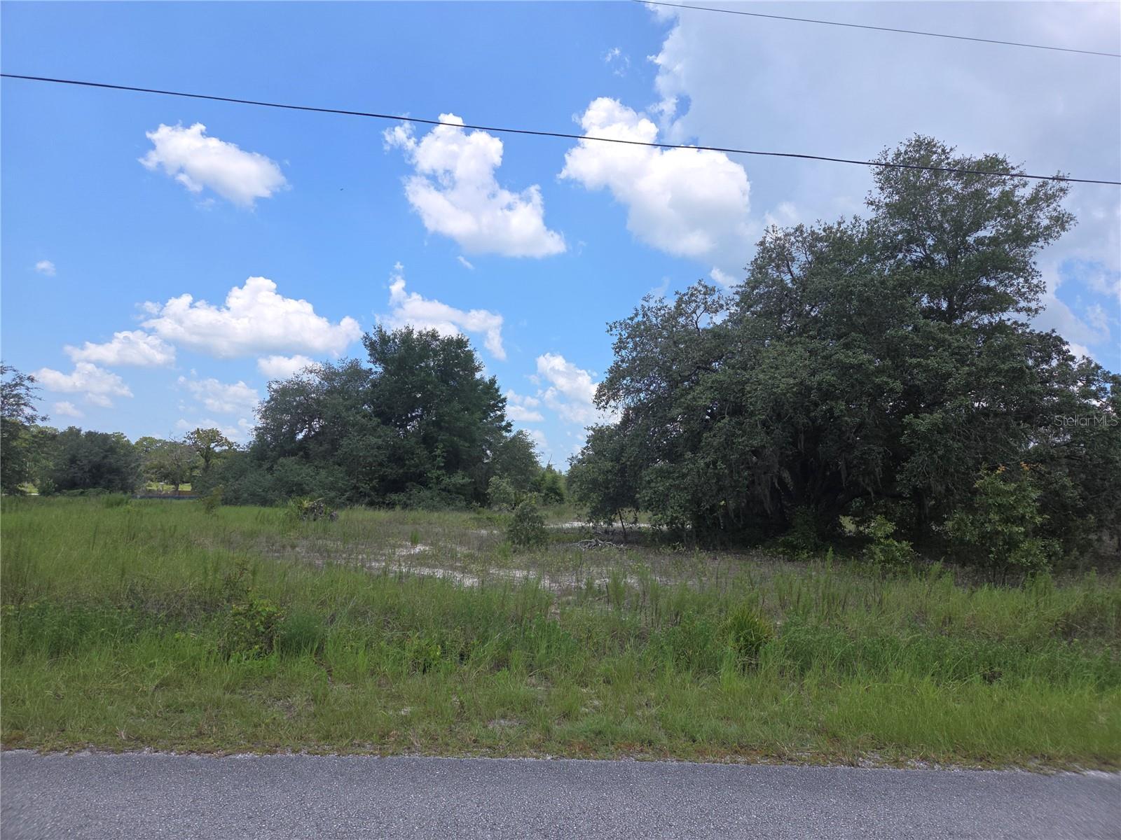 Lot 14 SW VIOLA COURT, DUNNELLON, FL — photo 3