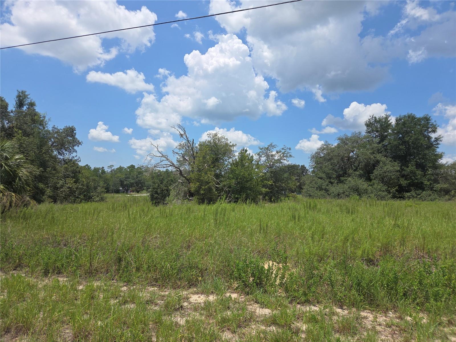 Lot 14 SW VIOLA COURT, DUNNELLON, FL — photo 4