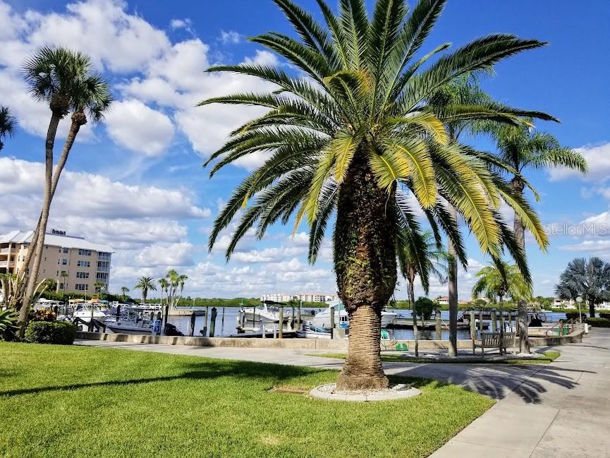5855 MIDNIGHT PASS RD #314, SARASOTA, FL — photo 52