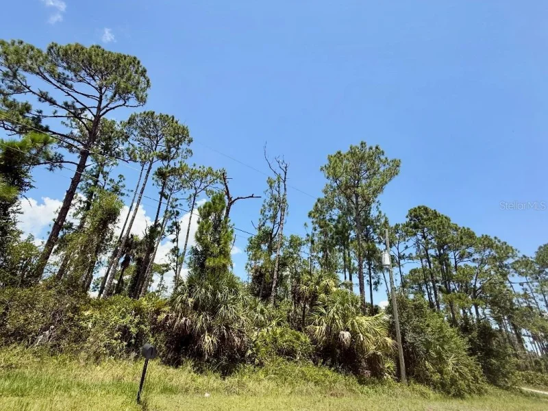 Lot 2 TITAN ST, NORTH PORT, FL