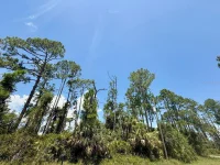 Lot 2 TITAN ST — photo 3