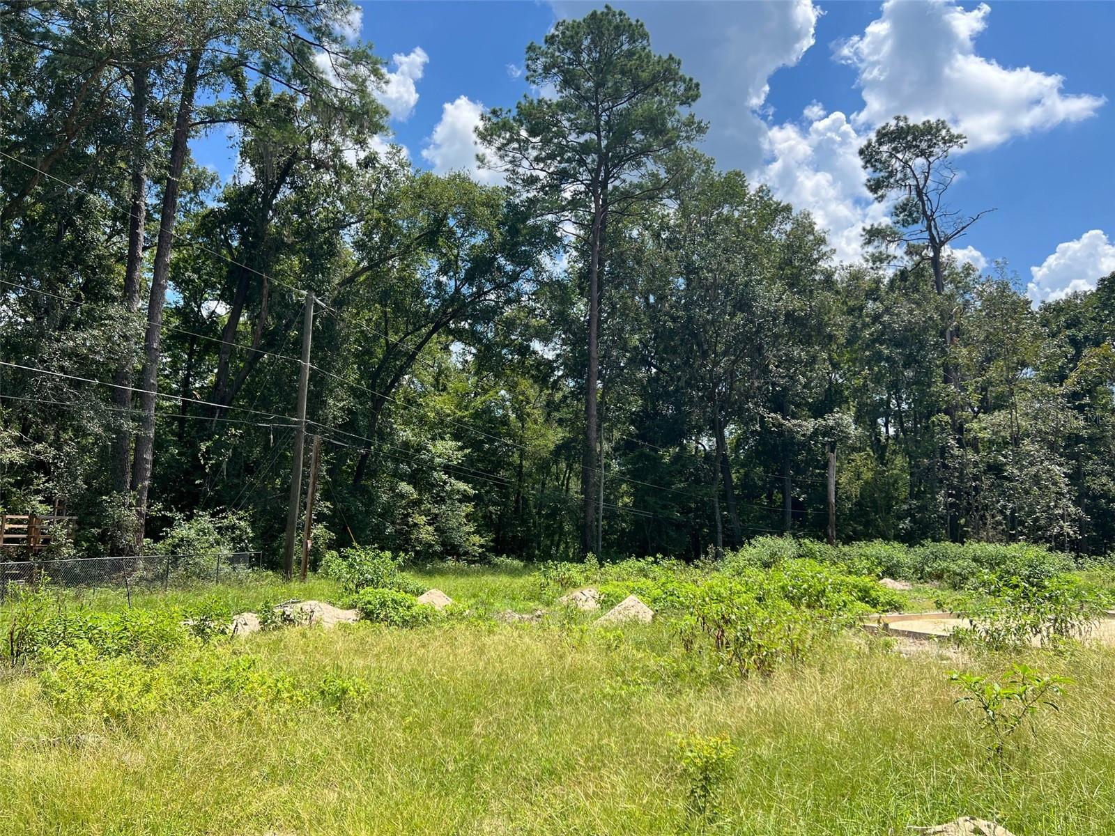3892 NW 44TH AVE, GAINESVILLE, FL — photo 4