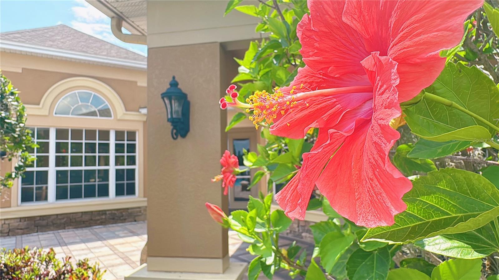 6451 OLD PARK LN #204, ORLANDO, FL — photo 5
