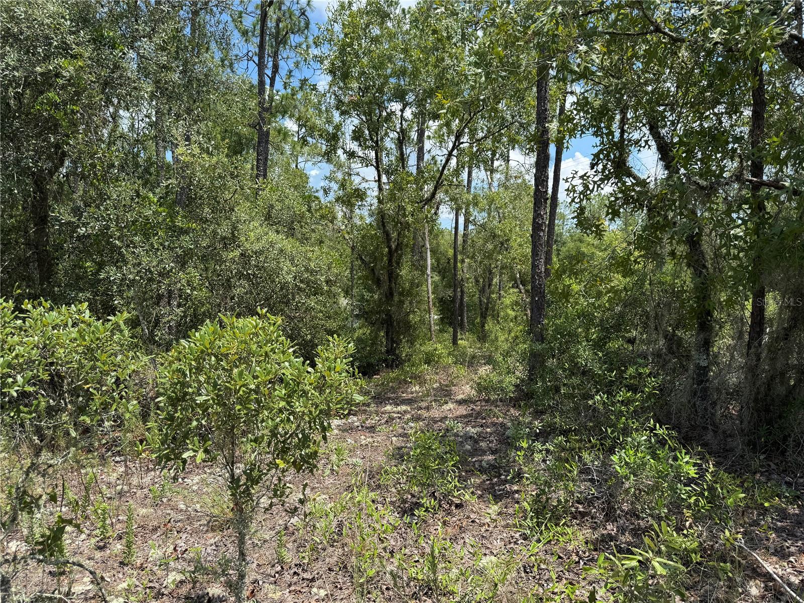 00 SW RAINBOW LAKES BLVD, DUNNELLON, FL — photo 4