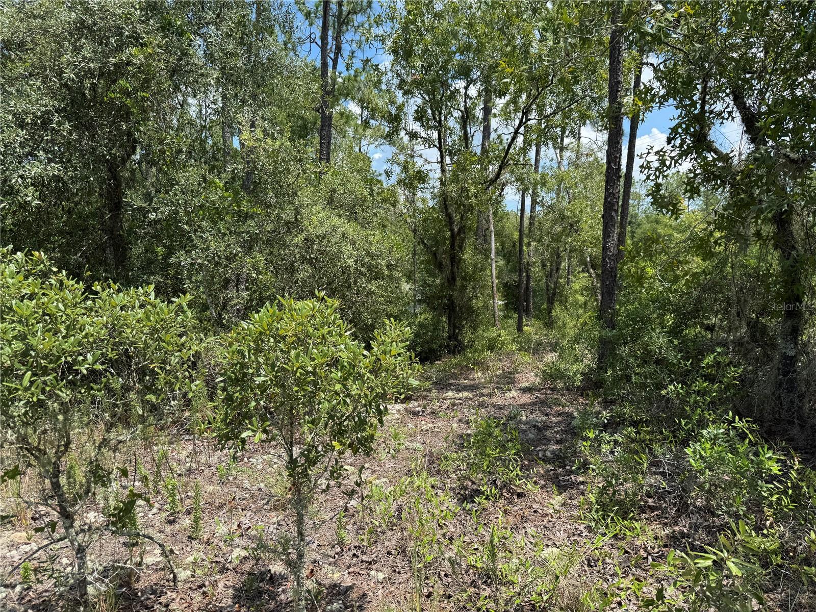 00 SW RAINBOW LAKES BLVD, DUNNELLON, FL — photo 6