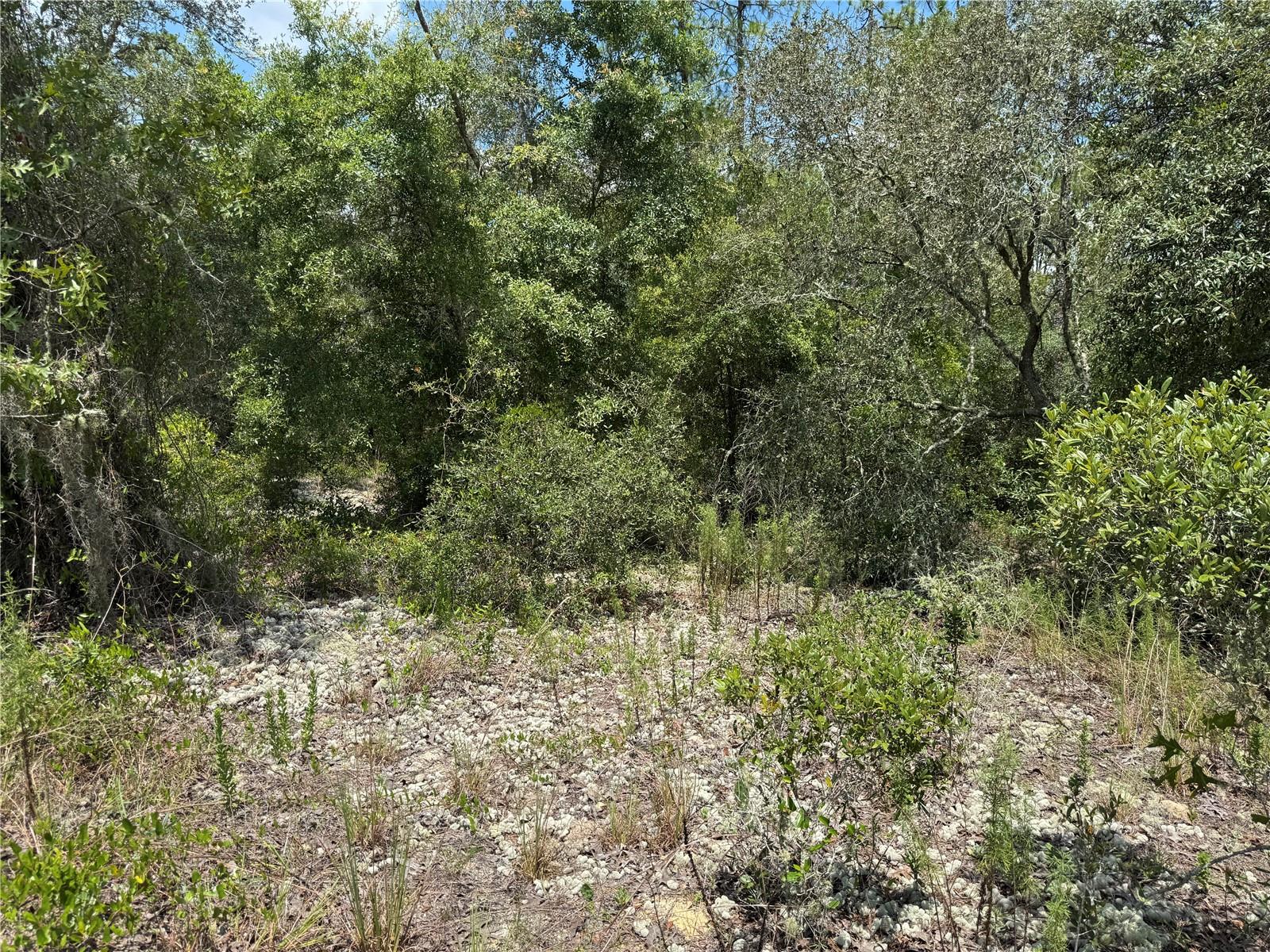 00 SW RAINBOW LAKES BLVD, DUNNELLON, FL — photo 5